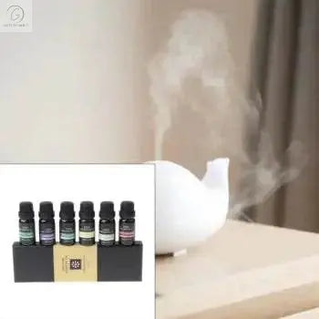 Pure Essence Essential Oil Kit - 6 Types - Get To Find It, LLC