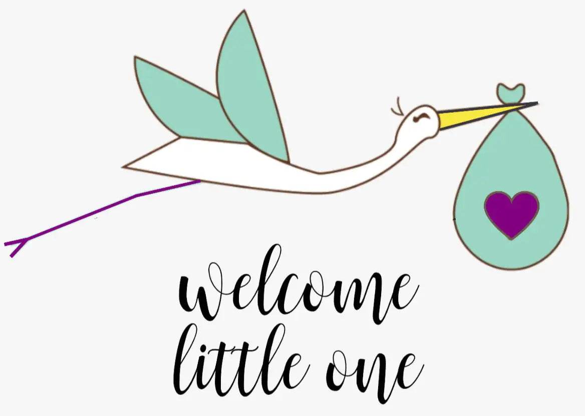 Organic Newborn Welcome Kit - Natural Baby Care Set - Get To Find It, LLC