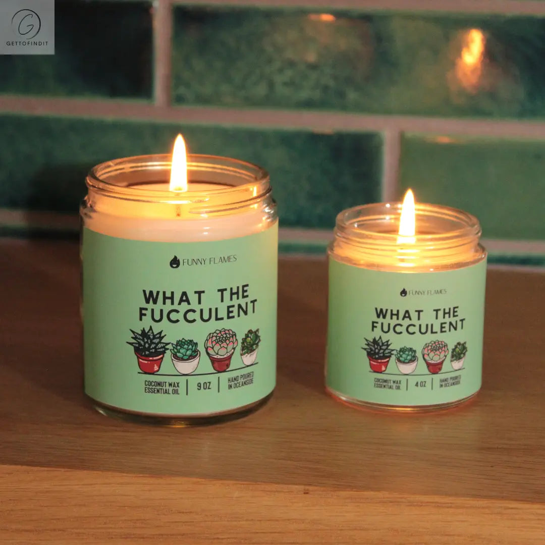 What The Fucculent DC-Funny Candle Co
