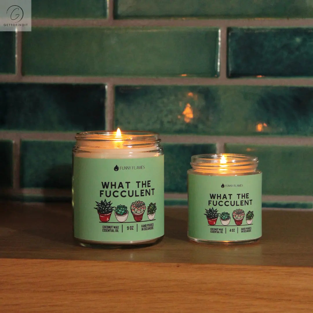 What The Fucculent DC-Funny Candle Co