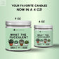 What The Fucculent DC-Funny Candle Co